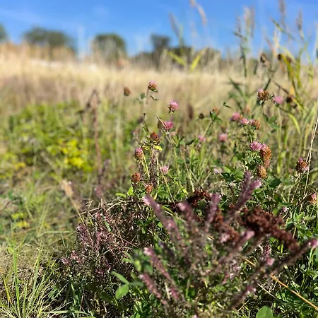 Beach Guest House Semesterbostad Greve